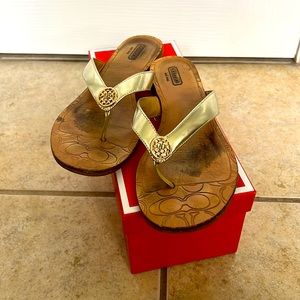 Gold metallic thong sandal